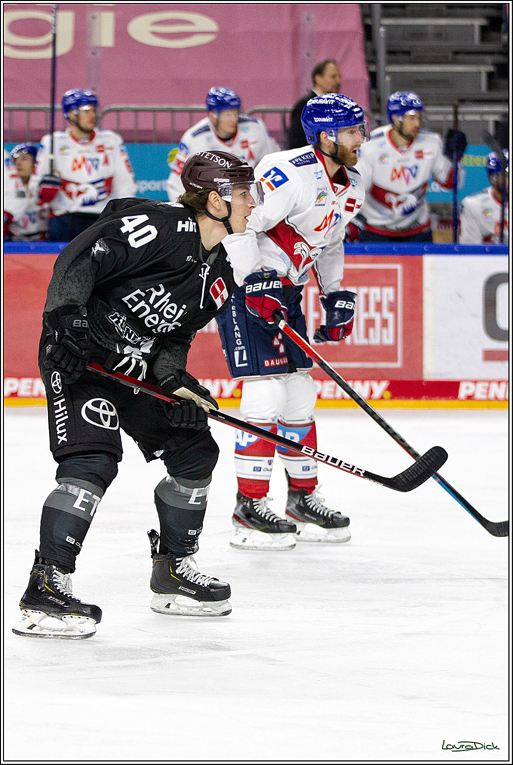 PENNY DEL;  Koelner Haie - Adler Mannheim; Koeln, 08.04.2021
